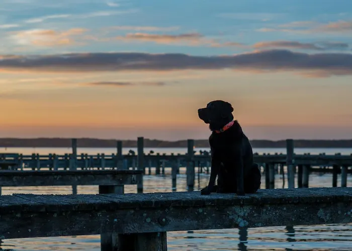 Fleesensee & Гёрен-Леббин